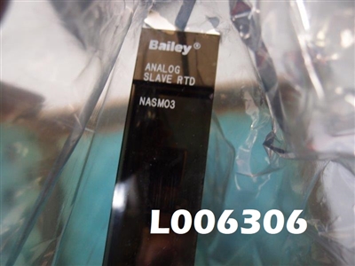 Bailey Analog Slave RTD NASM03