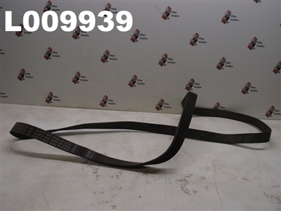 CUMMINS SERPENTINE BELT 3919879