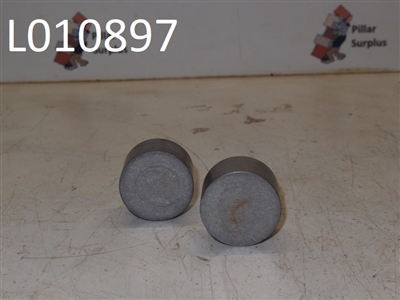Wheel Cylinder Pistons 2525520 (1 set of 2)
