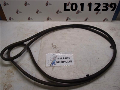 Napa V Belt C195 (pk of 1)
