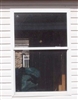 Single Hung Window 36x52