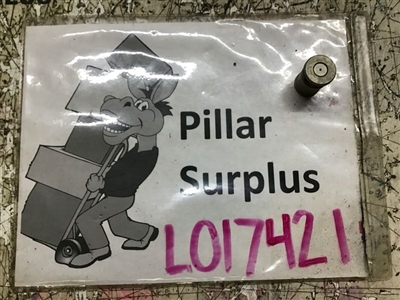 Poppet Valve 120038521