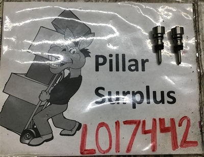 Plunger 110/100/24 (lot of 2)