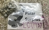 Cable Gland M16 (lot of 35)