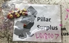 IDEAL Twister-Pro Electrical Wire Connector (lot of 10)