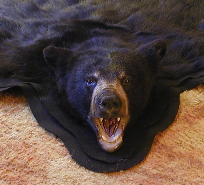 52x56 Inch Black Bear Skin Rug, How Much Does It Cost To Make A Bear Skin Rug